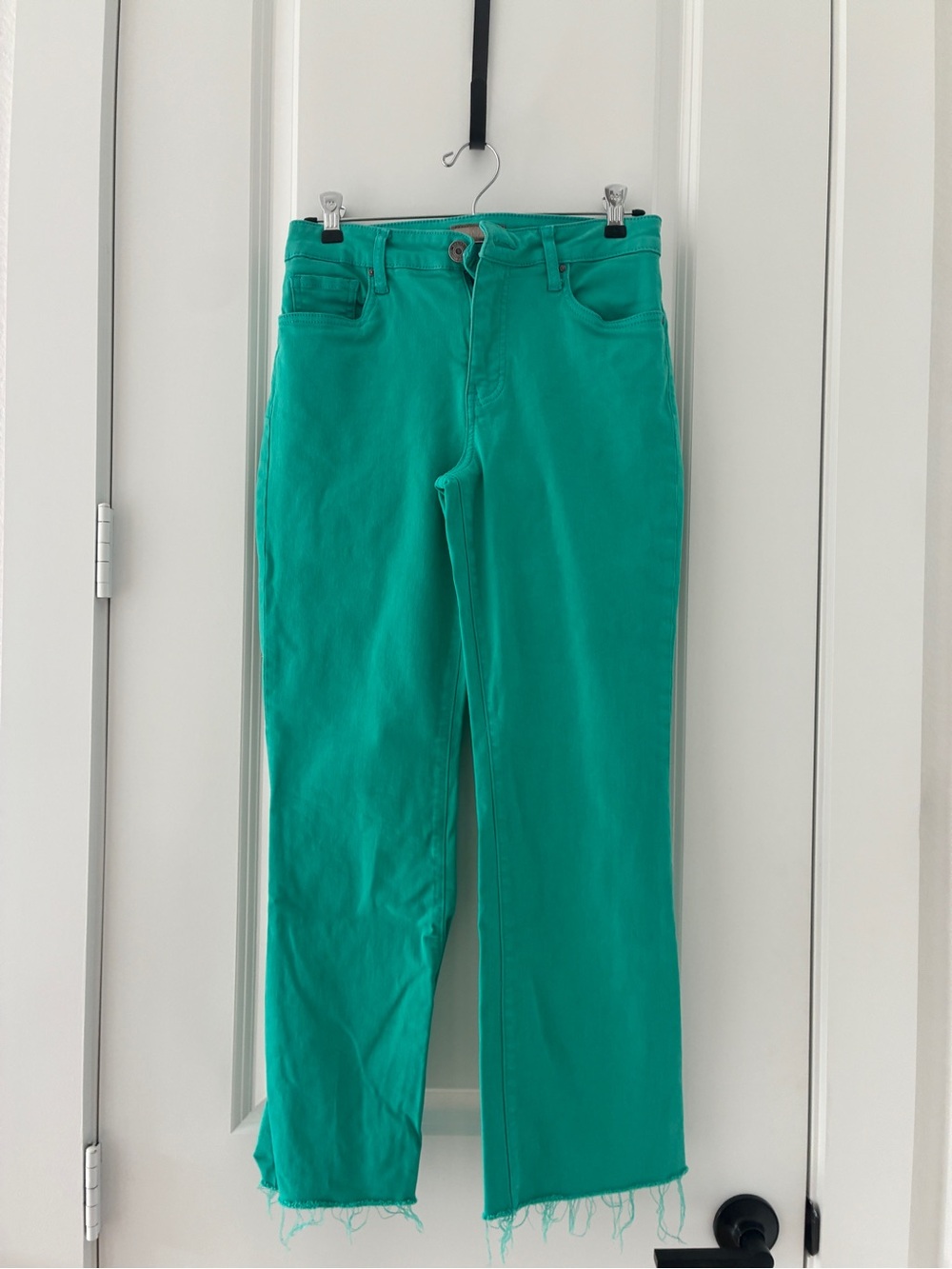 Kut from the cloth pants
